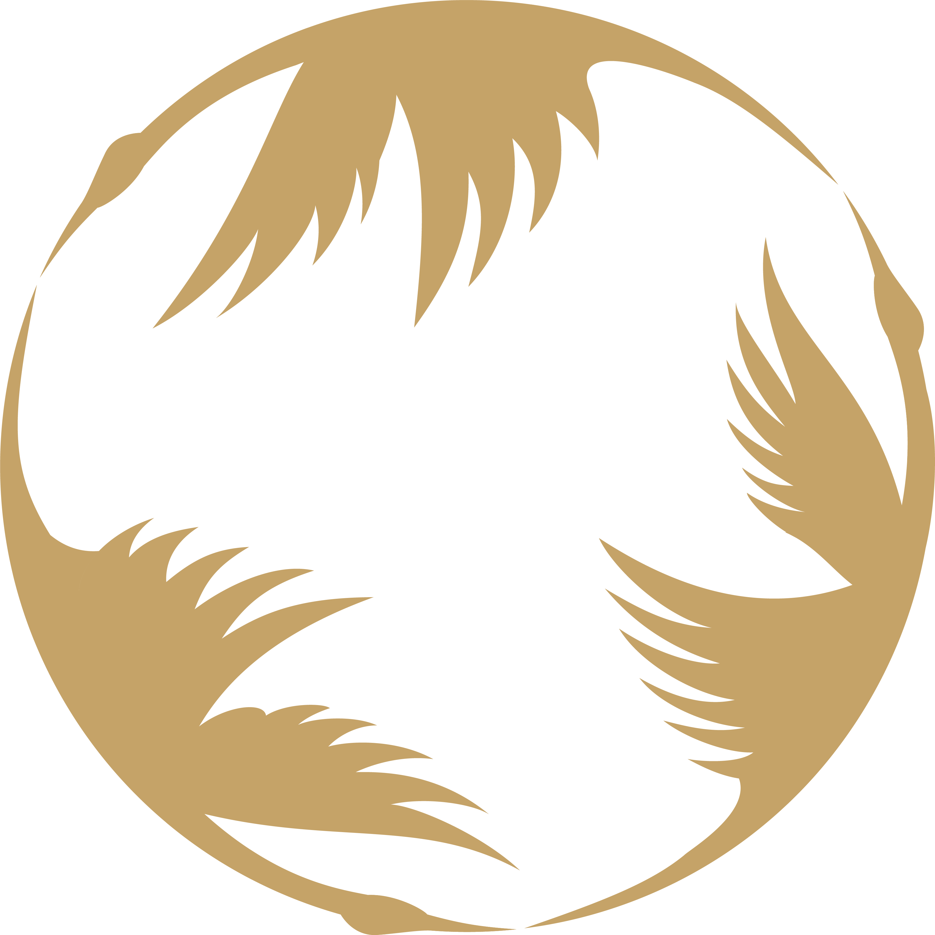 toki